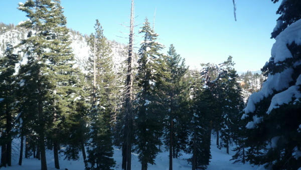 Sunrise from the master bedroom bay windows.